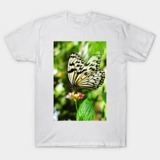 Butterfly Dream T-Shirt